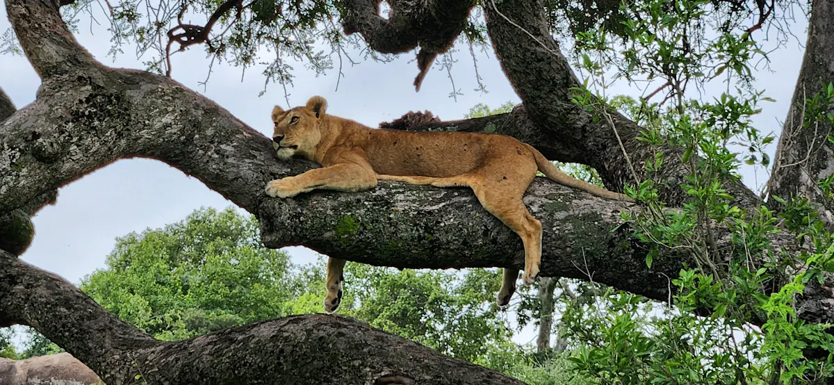 Lounging in Tanzania. 