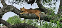 Lounging in Tanzania. 
