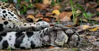 Slideshow Thumbnail 6 of 6
