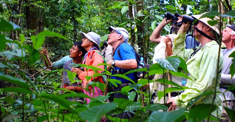 Earthwatch guests observe rainforest life, Amazon, Peru.