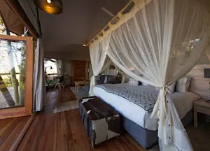 Kwetsani Camp Okavango Delta Botswana Africa