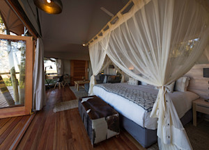 Kwetsani Camp Okavango Delta Botswana Africa