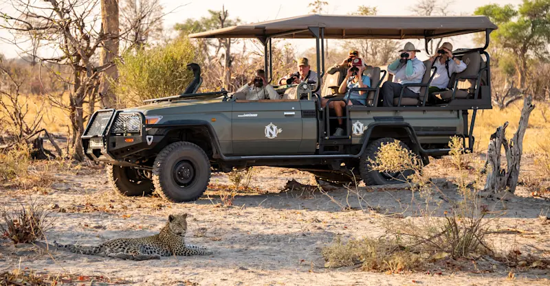 Leopard and Nat Hab's Electric Safari Vehicle, Okavango Delta, Botswana.