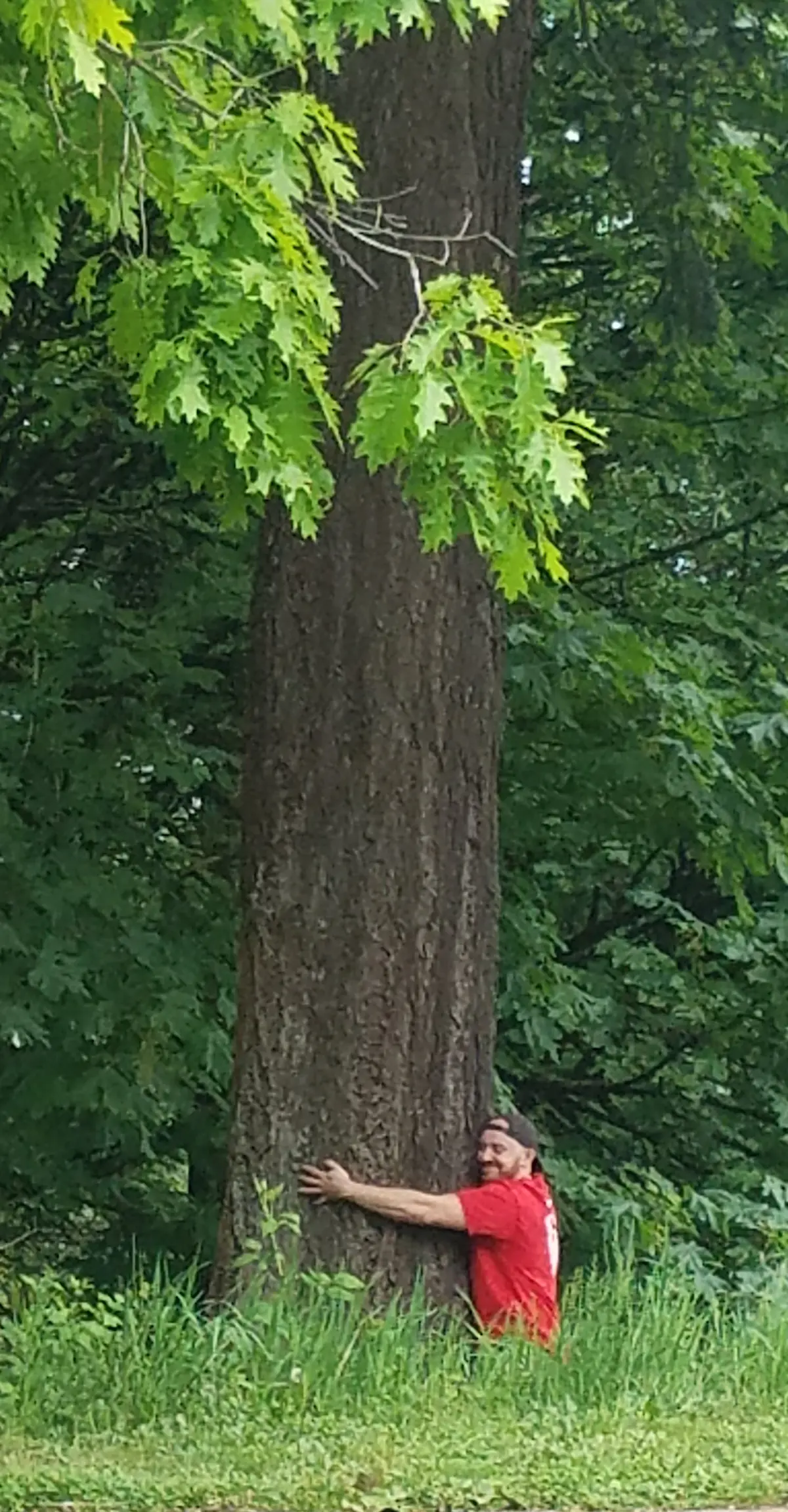 Tree hugger.
