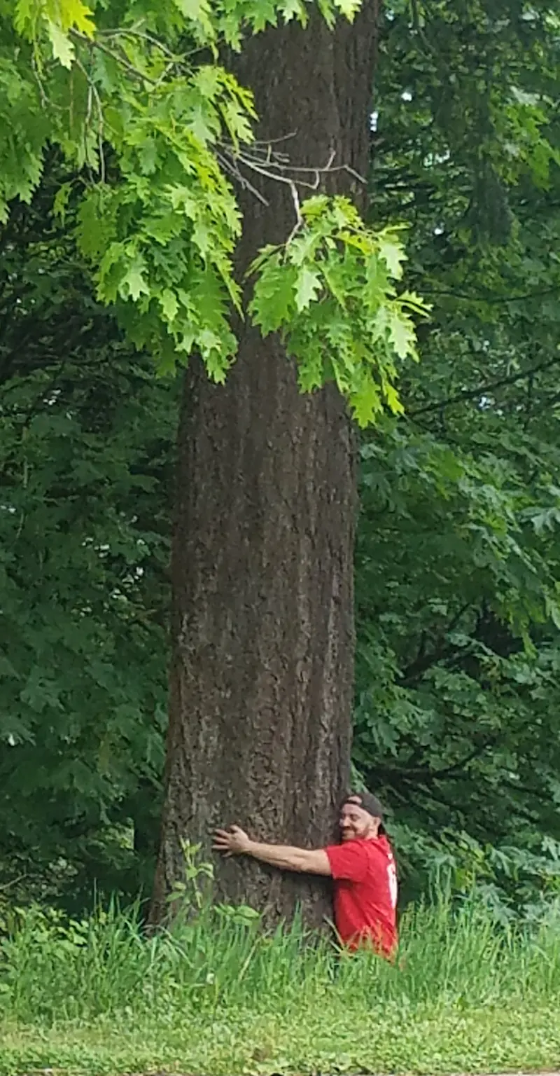 Tree hugging in Tillamook National Forest, Oregon.