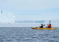 Kayaking with penguins in Antarctica.