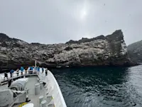 Gannet colony with National Geographic-Lindblad Expeditions off the coast of Iceland.