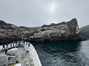 Gannet colony with National Geographic-Lindblad Expeditions off the coast of Iceland.