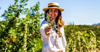 Wild herb foraging experience, Urla, Turkey.