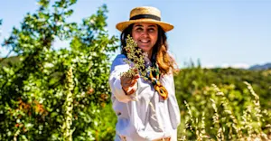 Wild herb foraging experience, Urla, Turkey.