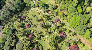 Aerial view of guest cabins