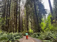 Strolling through Olympic National Park, Washington.