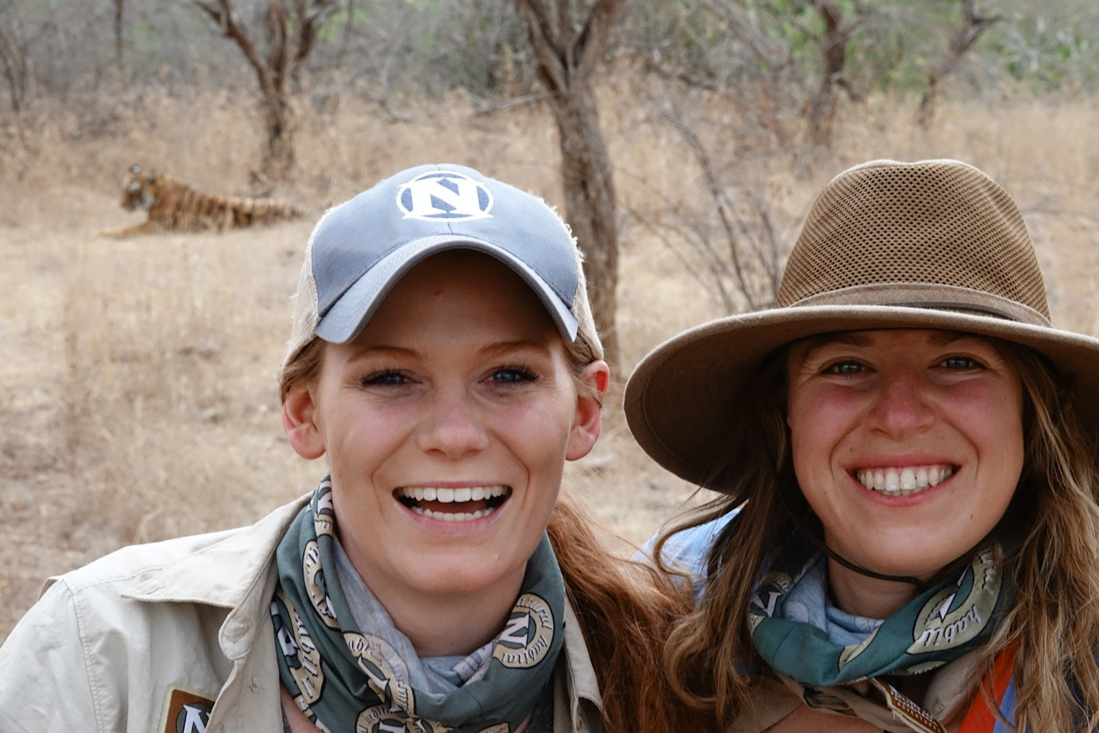 Tiger viewing in Ranthambore National Park, India.