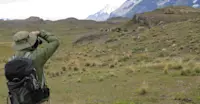 Nat Hab Guest, Torres del Paine National Park, Patagonia, Chile. 