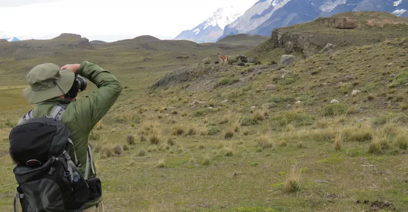 Nat Hab Guest, Torres del Paine National Park, Patagonia, Chile. 