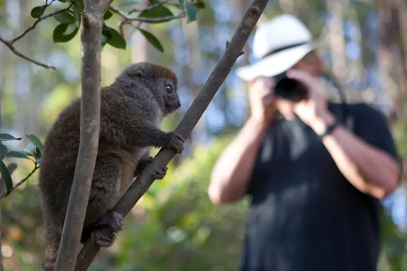 Rick Edwards Developer Tracking Lemurs in Madagascar | Natural Habitat Adventures
