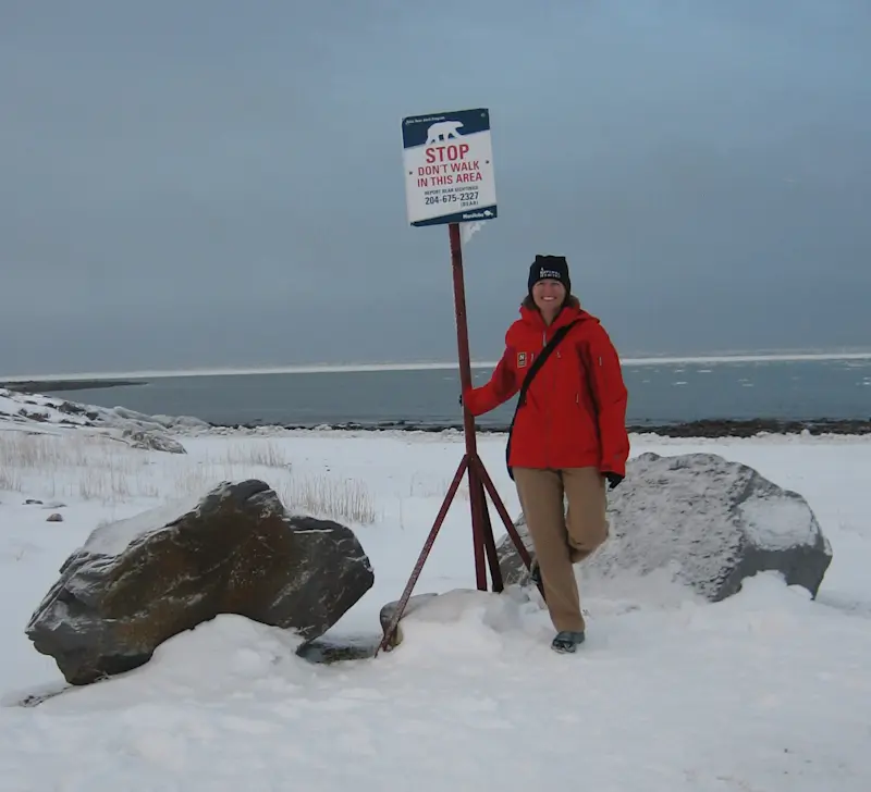 On high alert for polar bears in Churchill, Manitoba.