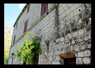 Slideshow Image