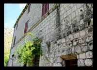 Slideshow Thumbnail 1 of 5
