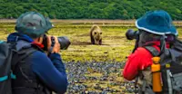 Nat Hab guests and brown bear, Katmai National Park & Preserve, Alaska.