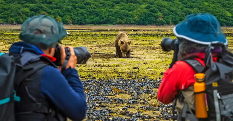 Nat Hab guests and brown bear, Katmai National Park & Preserve, Alaska.