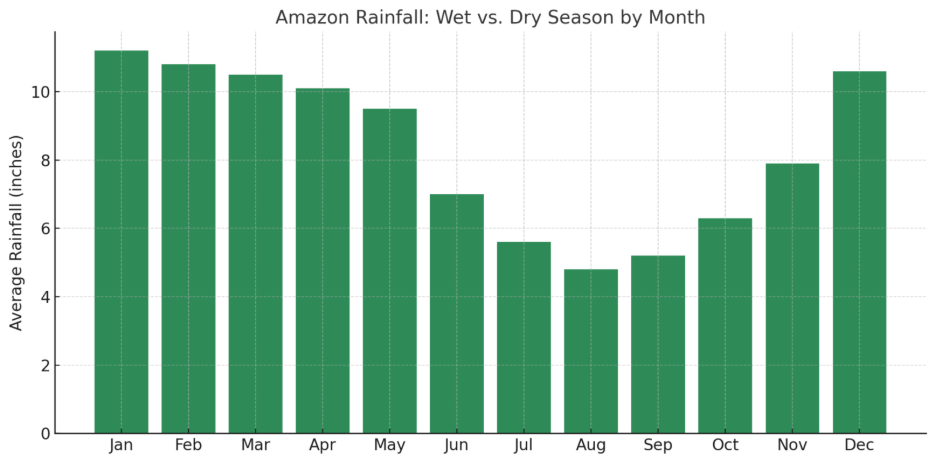 Amazon Rainfall Chart