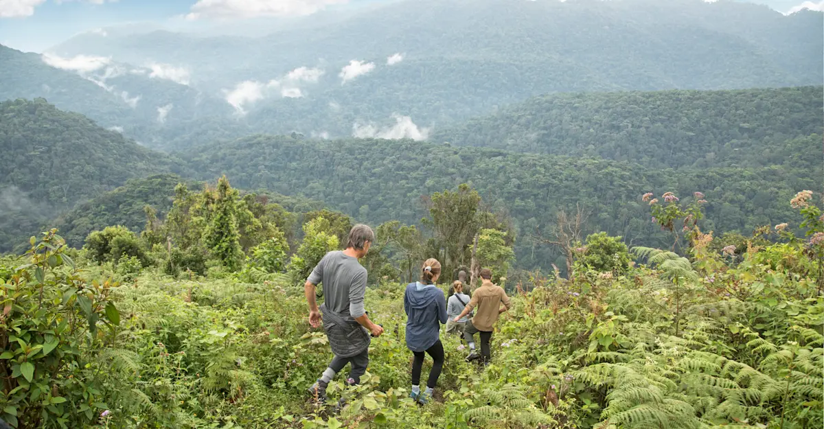 Nat Hab guests, Bwindi Impenetrable Forest National Park, Uganda.