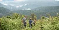 Nat Hab guests, Bwindi Impenetrable Forest National Park, Uganda.