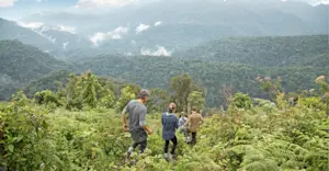 Nat Hab guests, Bwindi Impenetrable Forest National Park, Uganda.