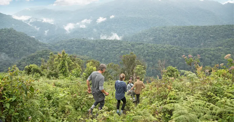 Nat Hab guests, Bwindi Impenetrable Forest National Park, Uganda.