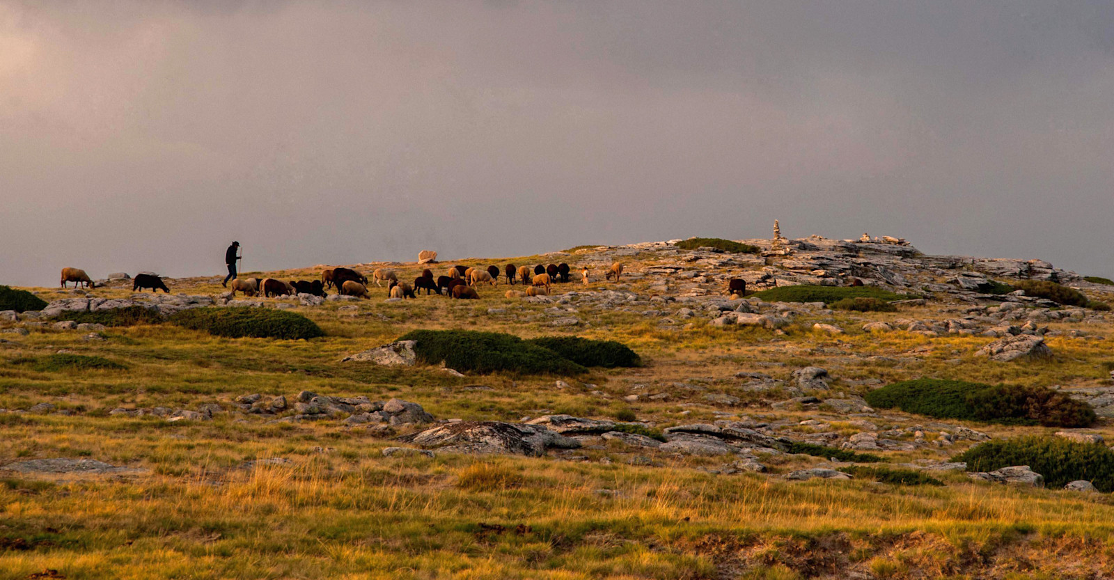 Shepherd, Serra da Estrela, Portugal.