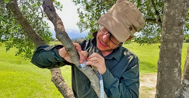 Earthwatch Scientist Dr. Antonio Uzal measures tree growth, Maasai Mara, Kenya.