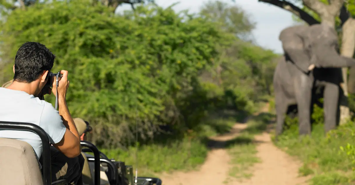 photographing an elephant in South Africa