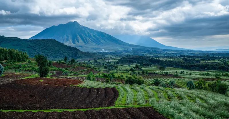 Farmland by the Rift Valley, Rwanda.