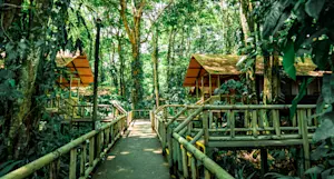 Walkway to guest cabins