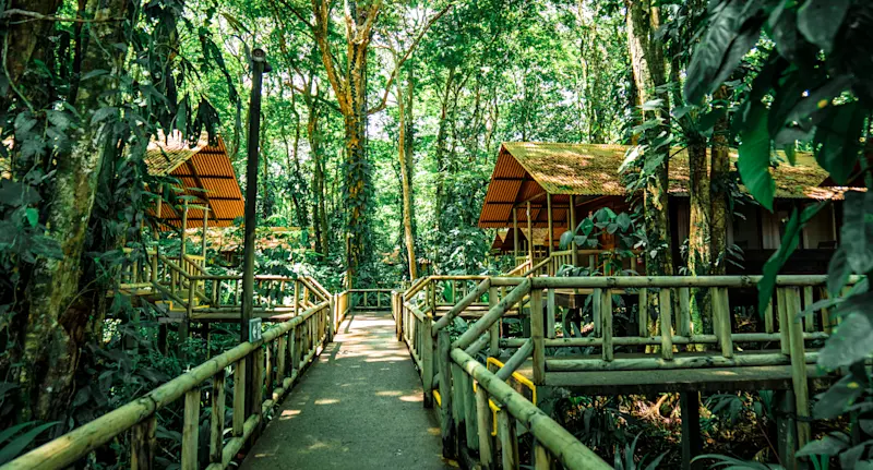 Walkway to guest cabins