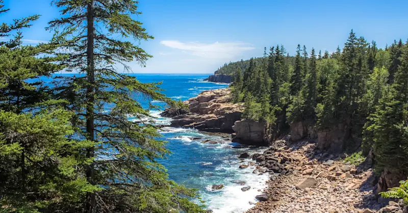 Rocky coastline, Acadia National Park, Maine.