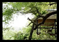 Slideshow Thumbnail 2 of 15