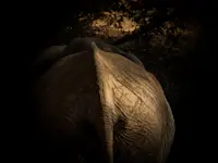 Slideshow Thumbnail 2 of 18