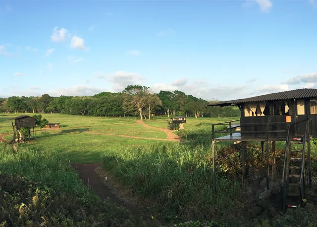 Accommodations|Natural Habitat Wild Tortoise Camp|Nat-Hab-Wild-Tortoise-Camp-12