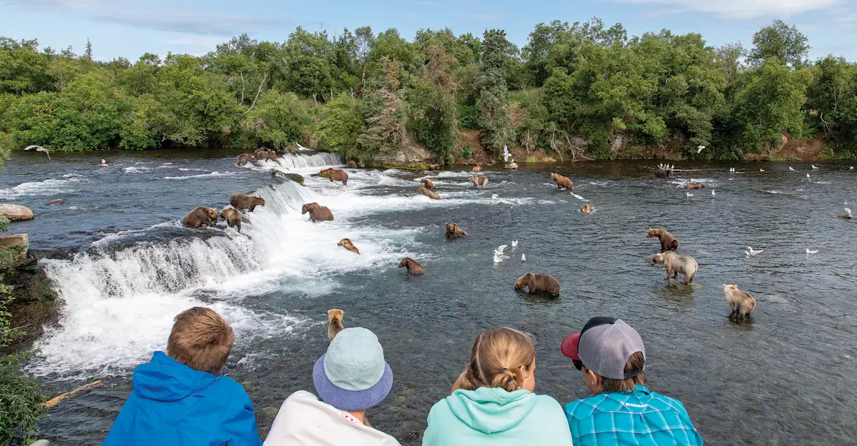 Nat Hab guests viewing brown bears at Brooks Falls, Katmai National Park & Preserve, Alaska.