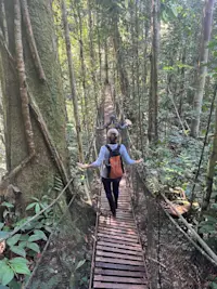 Hiking through the jungle canopy in the jungles of Peru. 
