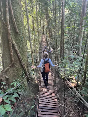 Hiking through the jungle canopy in the jungles of Peru. 
