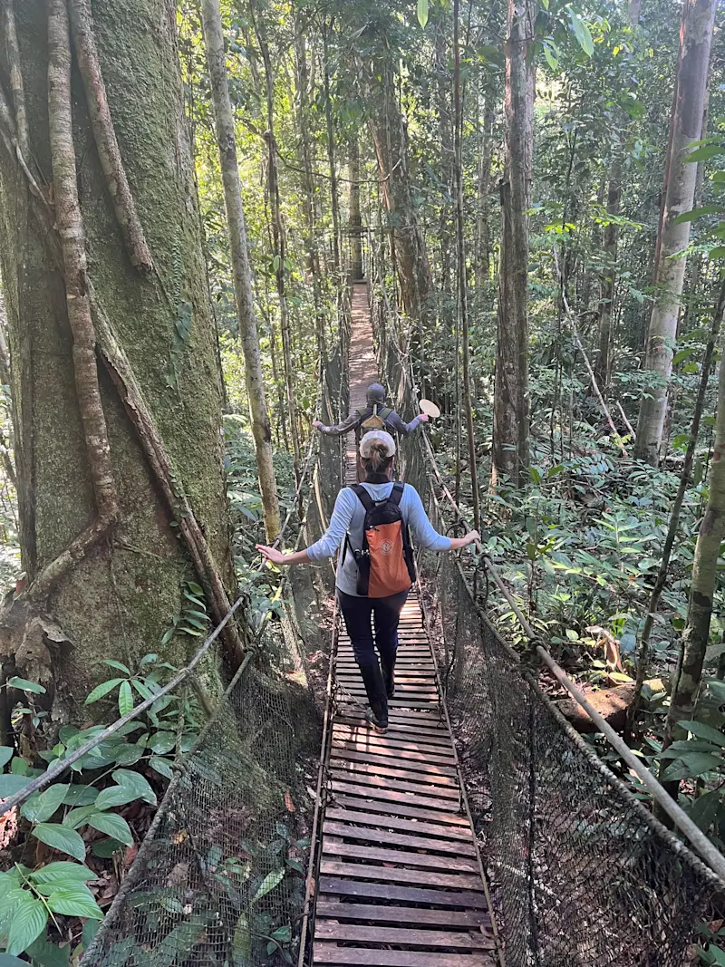 Hiking through the jungle canopy in the jungles of Peru. 