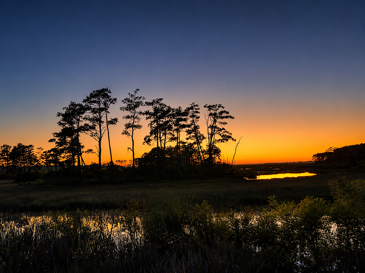 Sunset over the coastal marshes of the Eastern Shore.