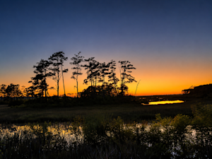 Sunset over the coastal marshes of the Eastern Shore.