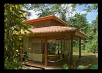 Slideshow Thumbnail 4 of 5