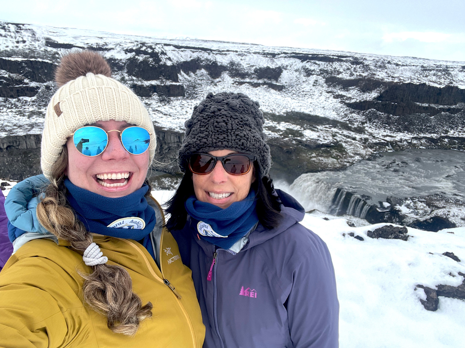 Making friends while on a Nat Hab tour in Iceland. 
