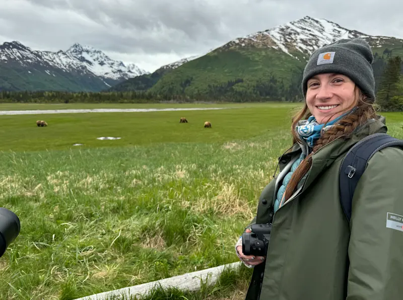 Field full of coastal brown bears in Alaska. 