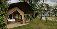 Slideshow Thumbnail 2 of 11